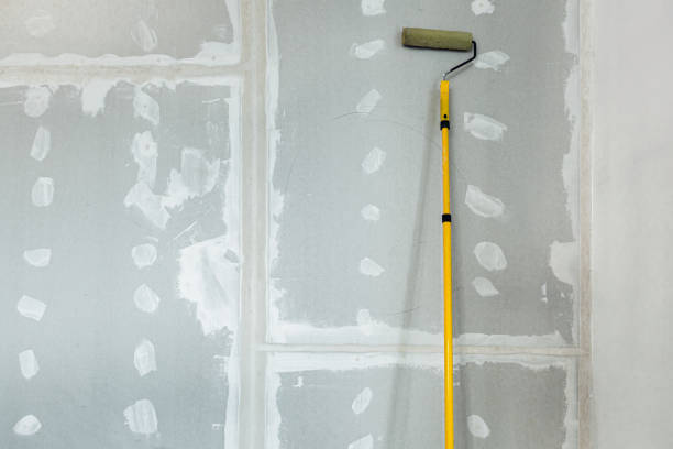 Reliable North Palm Beach, FL Mold Removal Solutions