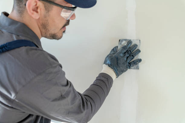 Best Water Damage & Mold Remediation  in North Palm Beach, FL